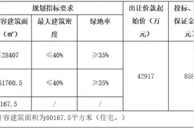 东原+大发4.56亿元竞得重庆市沙坪坝区一宗居住用地 溢价率6.25%图片