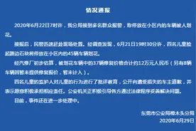广东东莞4儿童刮花45辆车 警方：其中37辆车修复价合约12万元图片