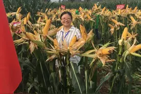 “半路出家”的女博导升副厅，38岁任川农大副校长图片