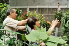 推门见绿，荔湾这个社区的街坊太幸福了！图片