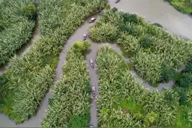 40分钟到常熟，比外卖还快！这片江南福地，会是上海市民又一个后花园吗？图片