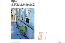咬下叶子挡雨，女子被紧急送医！一招区分这种有毒植物图片