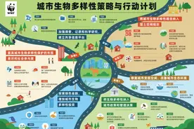 世界自然基金会：让自然回归城市图片