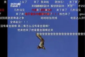 传统与现代对话：当四大名著电视剧遭遇弹幕文化图片