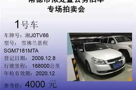 湖南省常德市公车处置拍卖公告图片