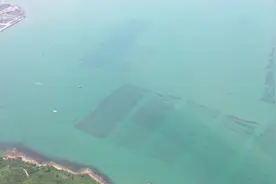 世代海洋海带采收节暨鲜海带蓝色产业链绿色生态圈峰会隆重开幕视频封面