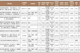 武汉单日土拍揽金244亿，头部房企纷纷斥重金“抢”地图片