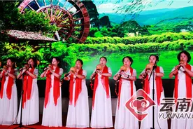 2020中国云南葫芦丝、巴乌全国网络展演启动图片