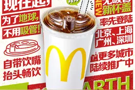不“管”了的麦当劳背后：使用一分钟塑料吸管，填埋降解需几百年图片