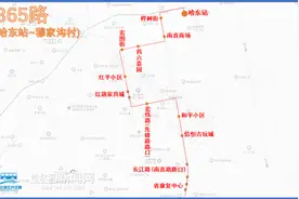 7月1日起，公交365路延长至哈东站｜365路东站支线停运图片