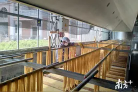 4年收入增4倍！梅州供电局聚焦产业造血助力兴宁勤光村脱贫攻坚图片