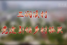 三涧溪村：党建引领乡村振兴视频封面
