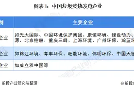2020年垃圾发电行业市场现状与竞争格局分析 光大国际一马当先图片