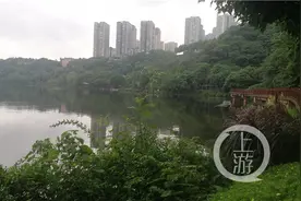 九龙坡彩云湖“捡鱼”？现场是这样的……图片