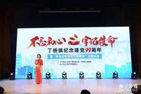 最新！海宁这个镇规划编制公布！现场还新成立一个中心图片