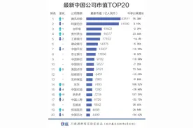 数读最新中国市值500强：医药生物行业猛增24家，京东拼多多市值翻倍新晋TOP20图片