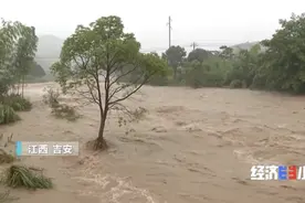 紧急！河堤垮塌、房屋成“孤岛”！超1.6万人受灾！生死营救，正在上演→图片