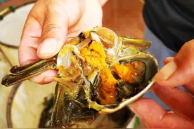 史上第一次，夏天最鲜美的它，有了“上海产”图片