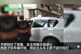业主不满羊群穿小区鸣笛遭打 小区居民：还有羊经过 很没安全感图片