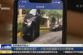 这种黄线可别占！  《道路交通安全法》：小区内部道路不归交警管辖视频封面