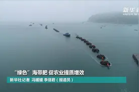 “绿色”海带肥 促农业提质增效视频封面