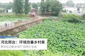 河北邢台：环境改善乡村美视频封面