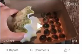 马上评丨砗磲是保护动物，别当“海鲜”吃图片