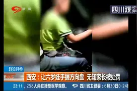 西安：让六岁娃手握方向盘 无知家长被处罚图片