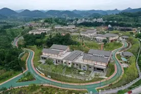 熊猫来湘西啦！每一只都是行走的表情包图片