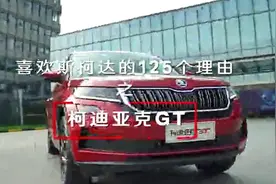 BOSS试驾斯柯达，聊聊他们眼中的GT双子星图片