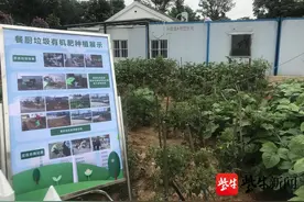 厨余垃圾循环利用变肥料，试验田里结满果“回馈”居民品尝图片
