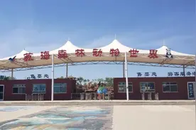 热热闹闹！神奇动物在这里...图片