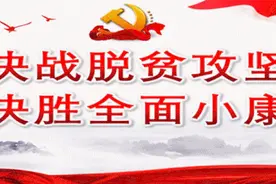 暴雨中，一只落单的野生麋鹿迷了路……图片