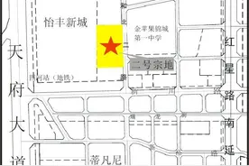 成都楼面价首破2万，新纪录由“重庆李嘉诚”制造图片