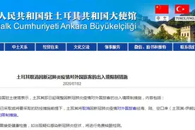 土耳其开放边境，或成下个海外人员回国中转地，驻土使馆发布警示图片