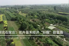 河北石家庄：花卉苗木经济“扮靓”致富路视频封面