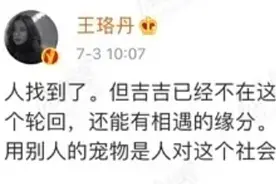 王珞丹发寻鸭启事寻找身价近万元宠物鸭，结果鸭子已被偷鸭者杀掉煮了……图片