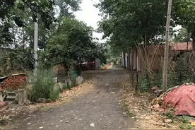 遗落的手榴弹：河南75岁农民之死图片