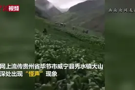贵州山中传出龙吟？专家初步认定为鸟类发出声源视频封面