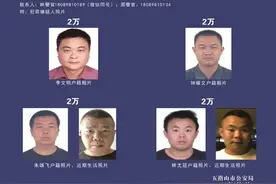 4名嫌疑人刑拘在逃！海南警方悬赏8万元通缉他们图片