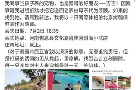 王珞丹同事的鸭子吉吉已死亡，警方回应：若构成犯罪，无论金额多少都可立案图片