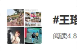 王珞丹发寻鸭启事引围观，警方：涉事人已找到图片