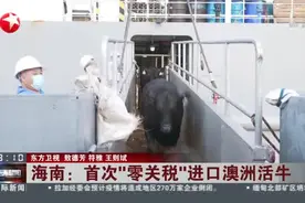 海南：首次“零关税”进口澳洲活牛视频封面