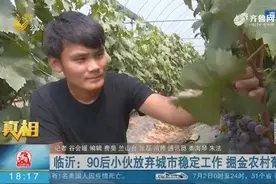 临沂90后小伙返乡当果农，从田间地头到直播，葡萄销售供不应求视频封面