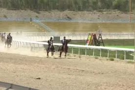 那达慕常态化赛马如期开赛图片