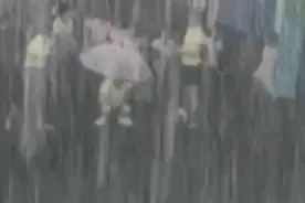 又暖又萌！小姑娘奶声奶气地讲了一个故事……图片