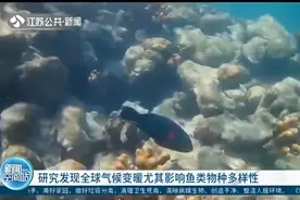研究发现：全球气候变暖造成海水温度上升，影响鱼类物种多样性视频封面