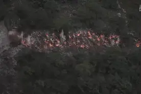 阿布洛哈通车记视频封面