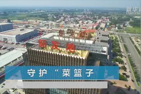 守护“菜篮子”视频封面