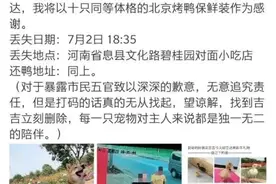 王珞丹寻找的宠物鸭被宰杀，抓鸭算犯罪吗？图片
